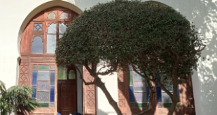 ambassadeurs en herbe