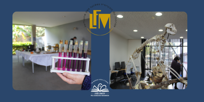 semaine des lycées français du monde exposition