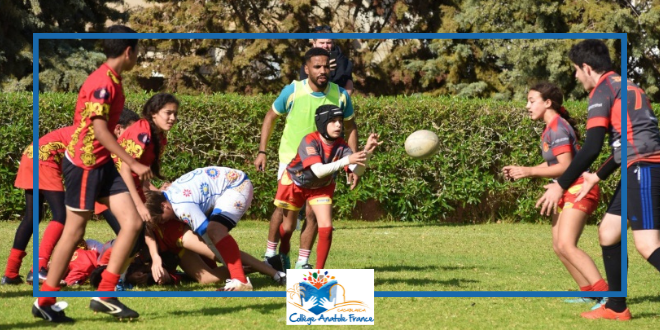 section sportive rugby anatole france