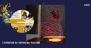 exposition art plastique SLFM