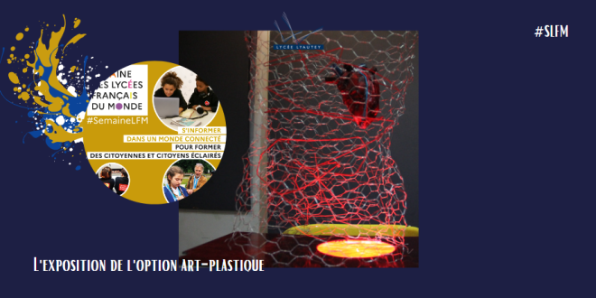 exposition art plastique SLFM