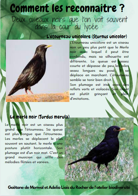 biodiversité eco lyautey