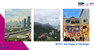BTS Commerce International : nos étudiants en stage à l’étranger 