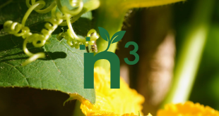 N3 avril 2025