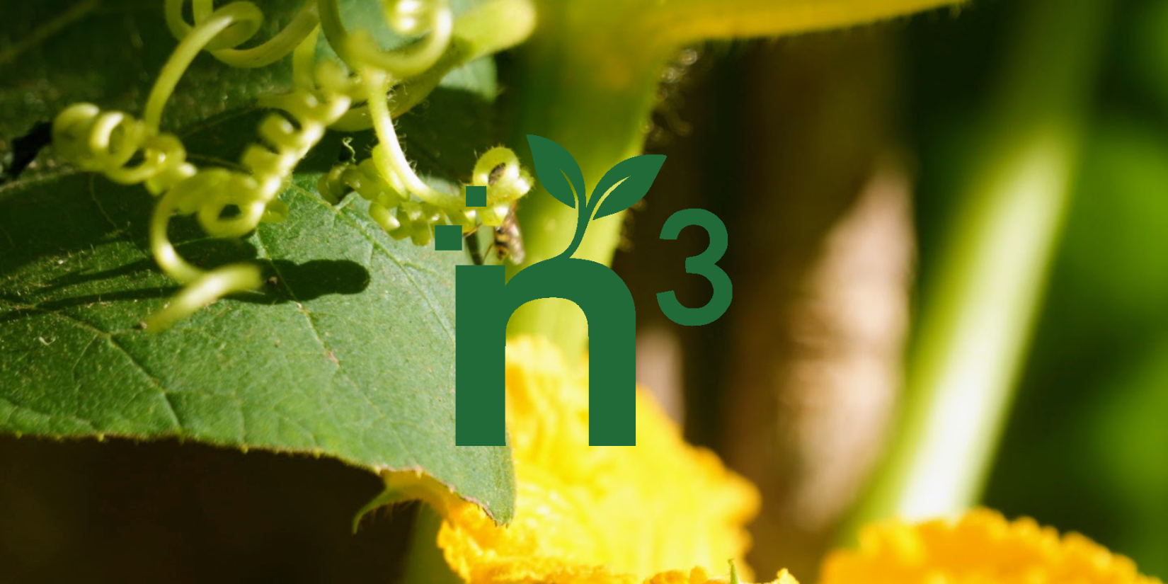 N3 avril 2025