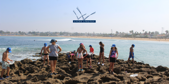 journées integration 6eme 2025