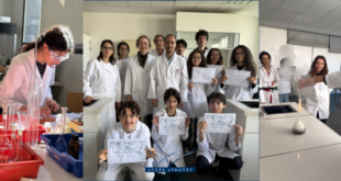 Olympiades de chimie : une belle réussite internationale pour nos élèves